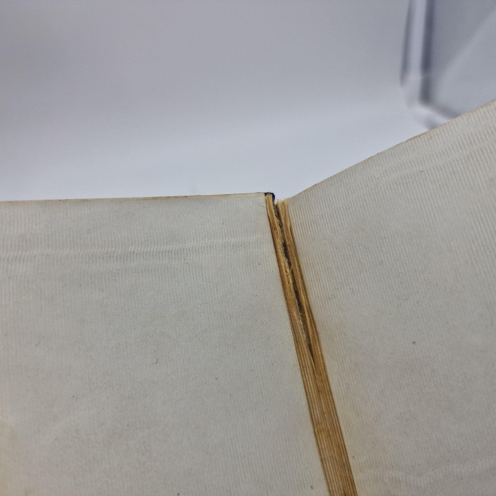 Antique Novísimo Diamante Divino (1883) Mother of Pearl Book