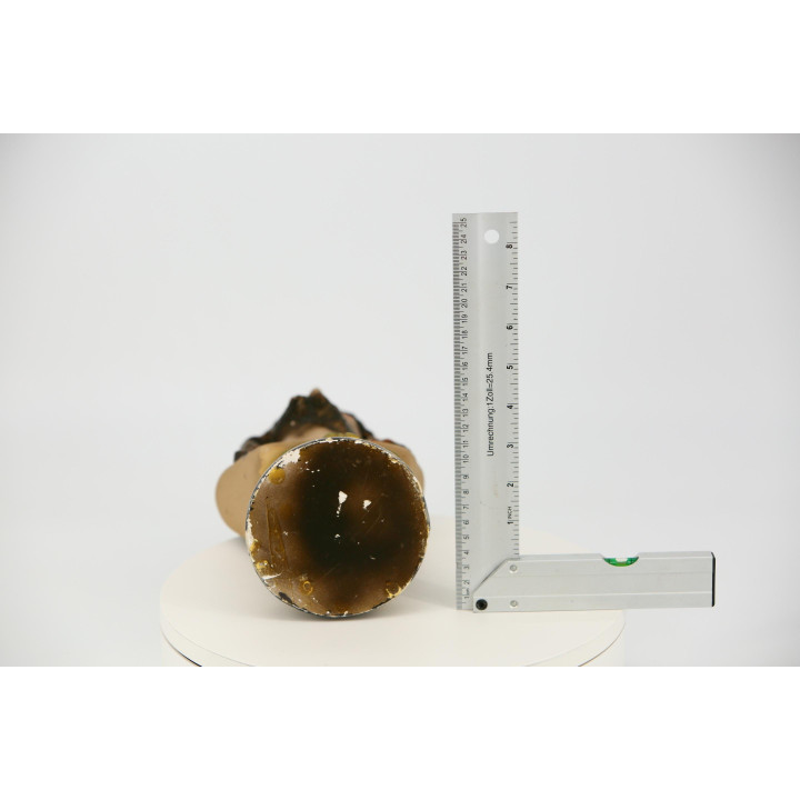Büste Christus von Medinaceli - Ecce Homo 27 cm