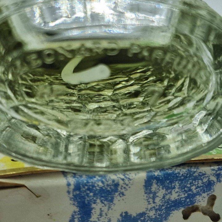 Vintage Eau Fraîche de Léonard Paris (Lata 80.) - 90ml