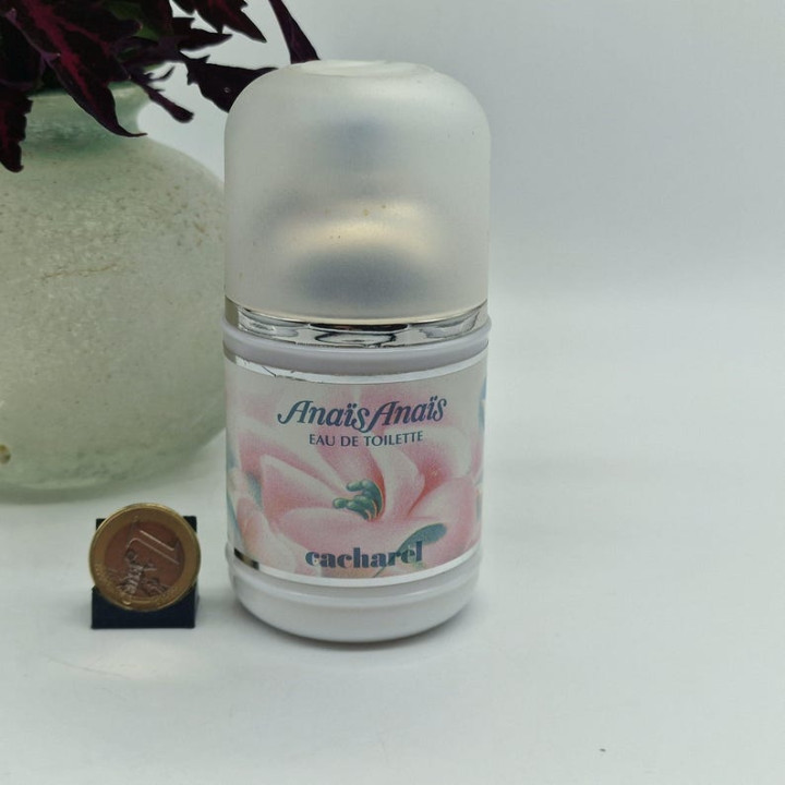 ヴィンテージ キャシャレル アナイスアナイス 100ml EDT