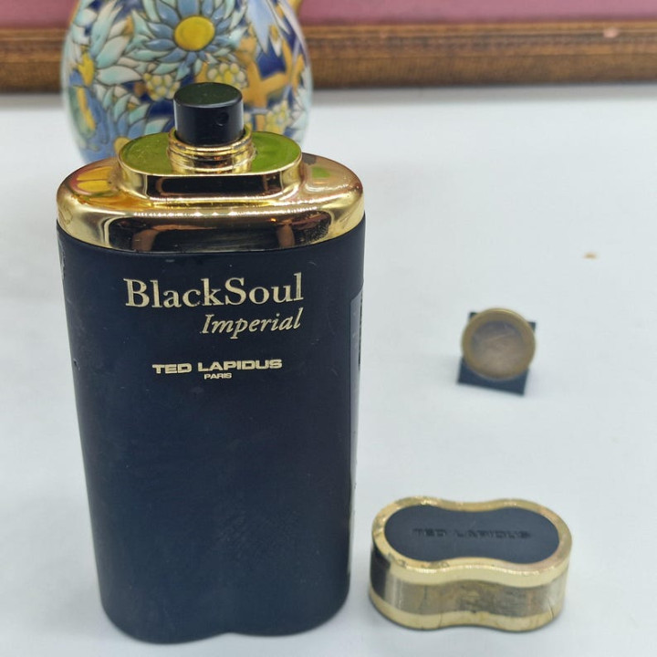 テッドラピドス ブラックソウル インペリアル 100ml EDT 2011