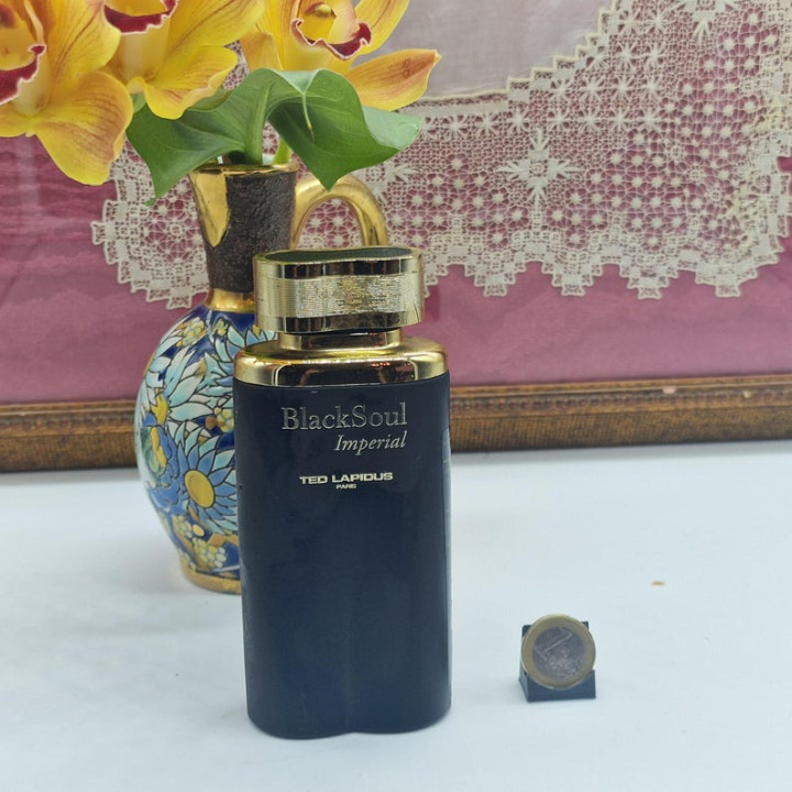テッドラピドス ブラックソウル インペリアル 100ml EDT 2011