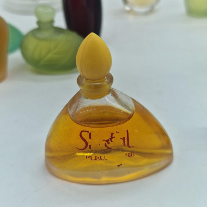 Lote 13 Miniaturas Perfume Vintage Yves Rocher y Rochas