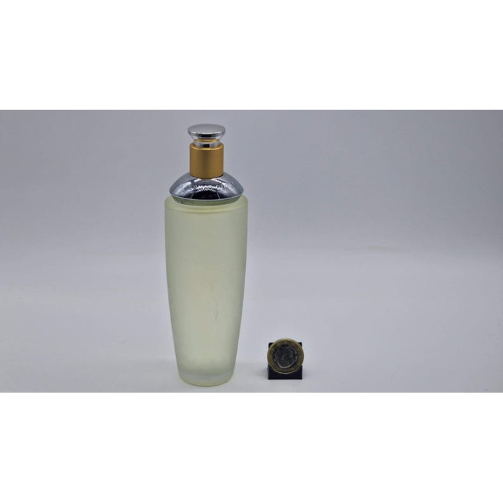 ヴィンテージ マッシモドゥッティ EDT 100ml ミルルヒア