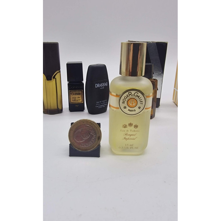 Lote de 6 perfumes miniatura vintage masculinos