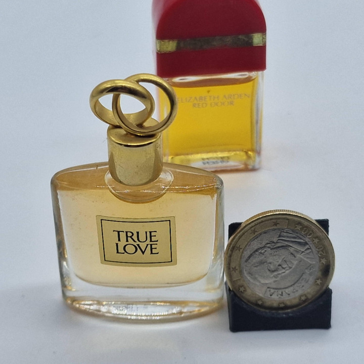 Vintage Elizabeth Arden Mini Parfum Set - True Love en Red Door Miniatuur Geuren Duo, Jaren 90 Glazen Flesjes Verzameling, 4.5cm