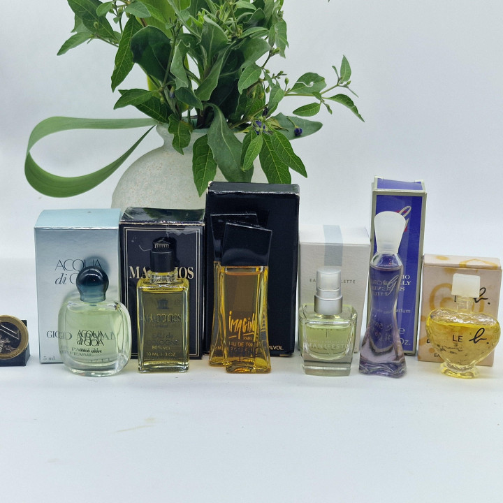 Lot de 6 Miniatures de Parfum Vintage avec Boîte - Giorgio Armani, Madelios Paris, Isabella Rossellini - Collection Flacons, 5-…