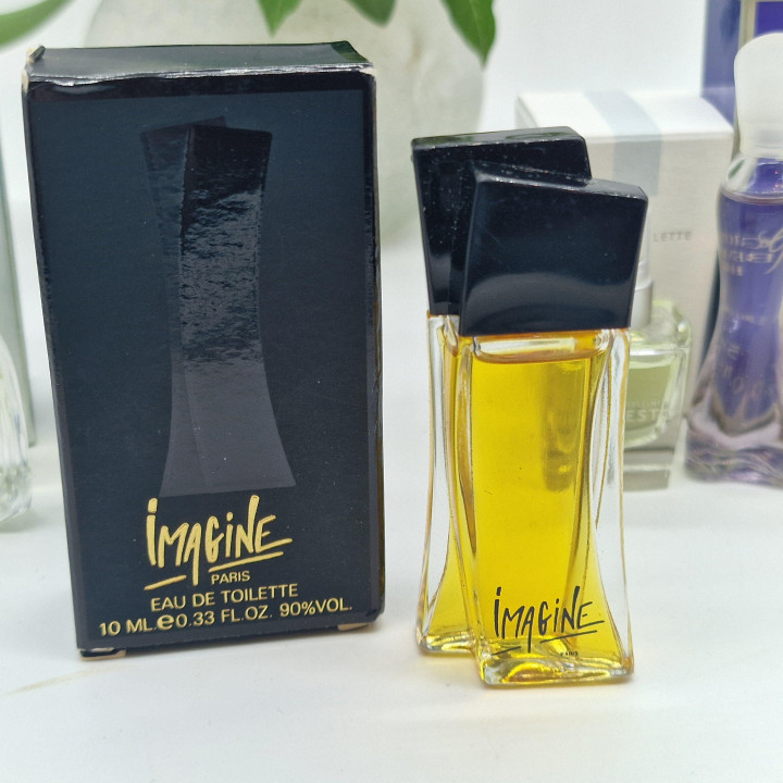 Lot de 6 Miniatures de Parfum Vintage avec Boîte - Giorgio Armani, Madelios Paris, Isabella Rossellini - Collection Flacons, 5-…