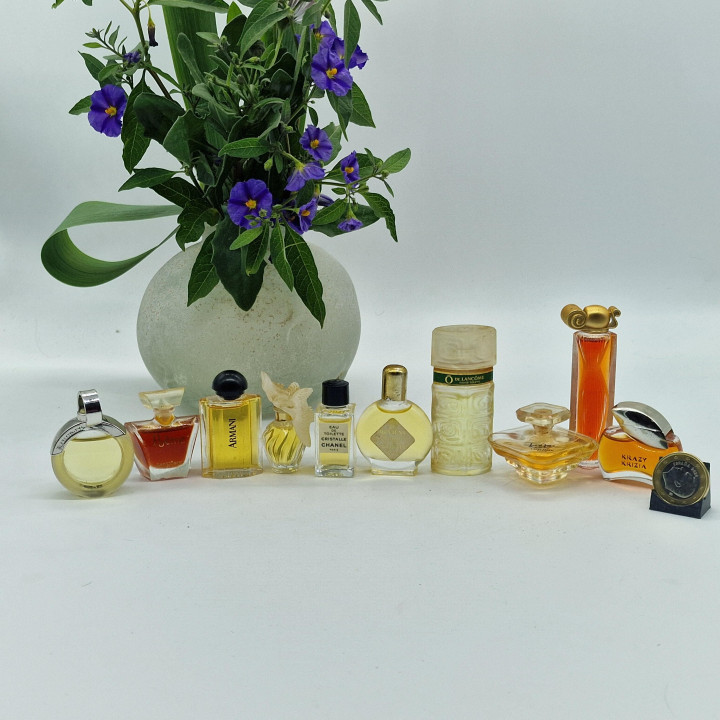 Lotto di 10 Profumi Miniatura Vintage - Chanel Cristalle, Armani 1982, Lancome Tresor, Givenchy Organza, Mini Flaconi da Collez…