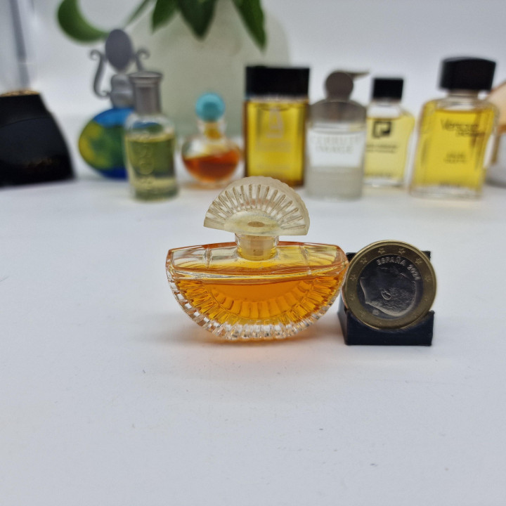 Collezione 10 Miniature Profumi Lusso Vintage — Gucci, Versace