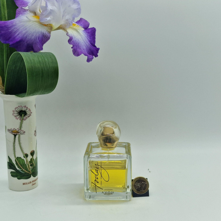 Avon Today Eau de Parfum, Vintage EDP Duft, Today Tomorrow Always Serie, 100ml, Sammlerparfüm aus den 2000er Jahren zu 75% gefü…