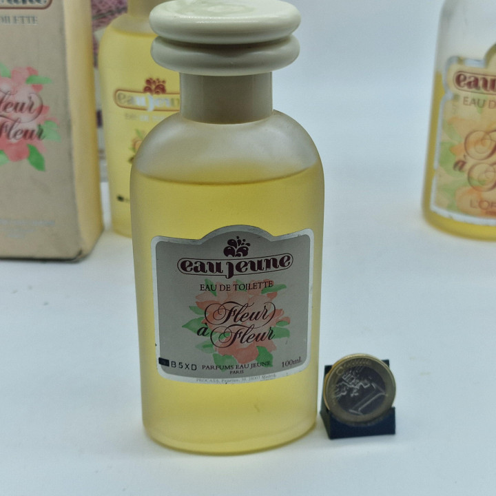 Fleur à Fleur Eau de Toilette Eau Jeune L'Oreal, Parfum Vintage de Collection 100ml et 250ml, Fragrance Française des Années 80…