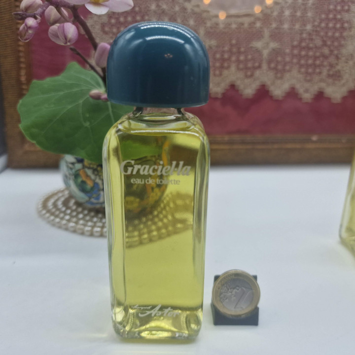 Parfum Vintage Margaret Astor Graciella Eau de Toilette 50ml - Rare Fragrance Florale Verte Années 70, Flacon Splash Collection…