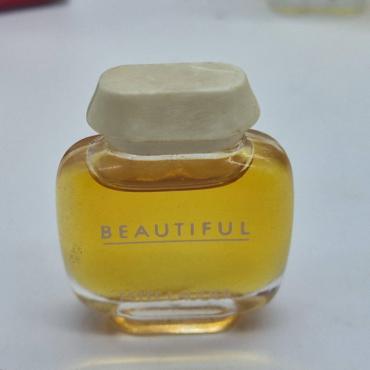 Conjunto de 6 Miniaturas de Perfume Estée Lauder Vintage