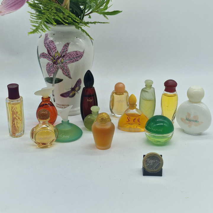 Lote de Miniaturas de Perfume Vintage, Colección Yves Rocher y Rochas - Cantate, Venise, Orchidée, Madame Rochas - Set de 13 Fr…