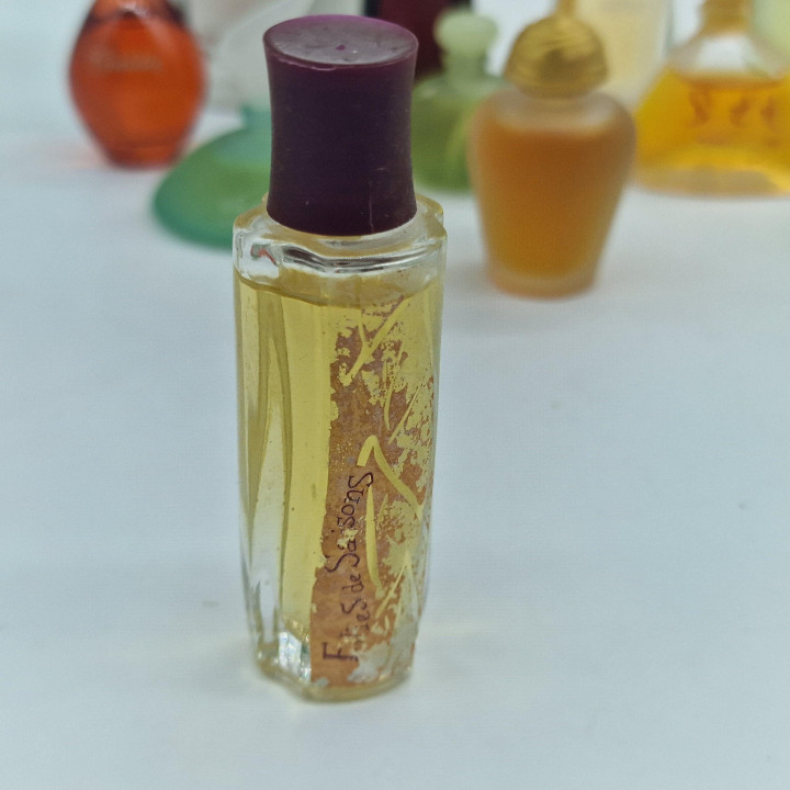 Lote de Miniaturas de Perfume Vintage, Colección Yves Rocher y Rochas - Cantate, Venise, Orchidée, Madame Rochas - Set de 13 Fr…
