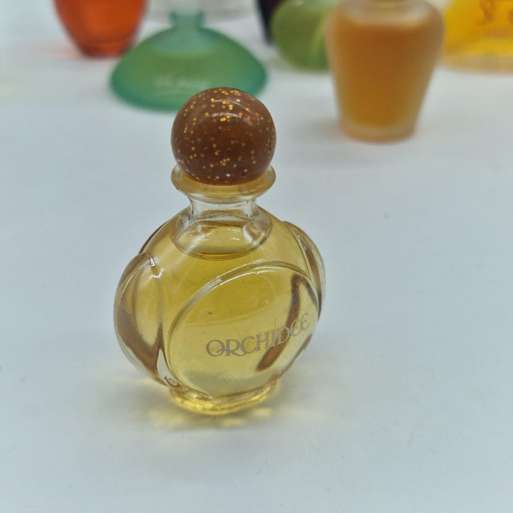 Lote de Miniaturas de Perfume Vintage, Coleção Yves Rocher e Rochas - Cantate, Venise, Orchidée, Madame Rochas - Set de 13 Fras…