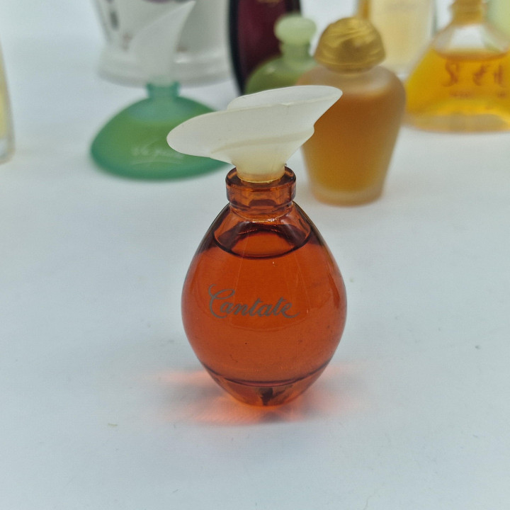 Lote de Miniaturas de Perfume Vintage, Colección Yves Rocher y Rochas - Cantate, Venise, Orchidée, Madame Rochas - Set de 13 Fr…