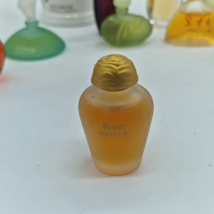Lote de Miniaturas de Perfume Vintage, Colección Yves Rocher y Rochas - Cantate, Venise, Orchidée, Madame Rochas - Set de 13 Fr…