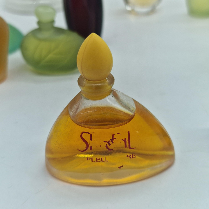 Lote de Miniaturas de Perfume Vintage, Colección Yves Rocher y Rochas - Cantate, Venise, Orchidée, Madame Rochas - Set de 13 Fr…