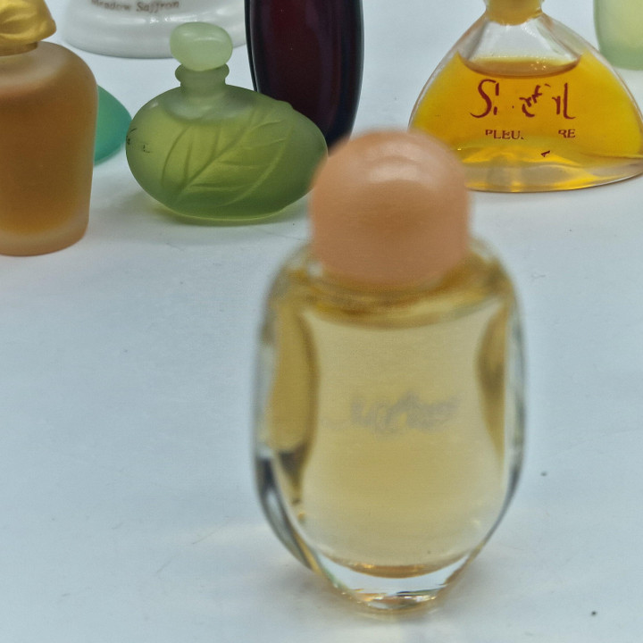 Lote de Miniaturas de Perfume Vintage, Colección Yves Rocher y Rochas - Cantate, Venise, Orchidée, Madame Rochas - Set de 13 Fr…