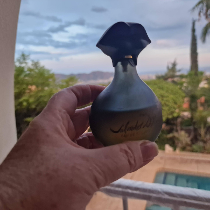Perfume Vintage Salvador Dali Eau de Toilette - Frasco Labios Vidro Fosco, 100 ml com cerca de 75 ml Restantes, Arte Surrealist…