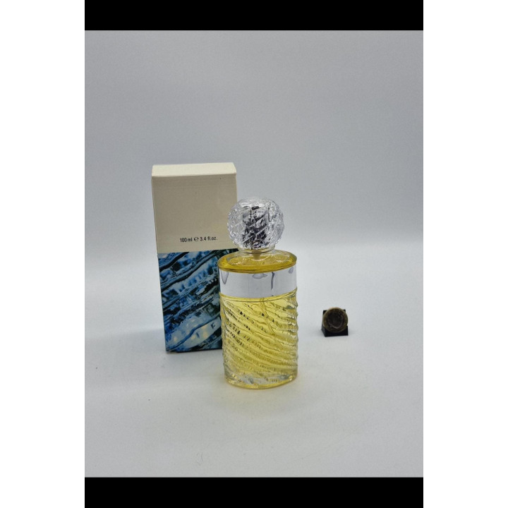 Parfum Vintage Eau de Rochas EDT 100 ml (Années 90)