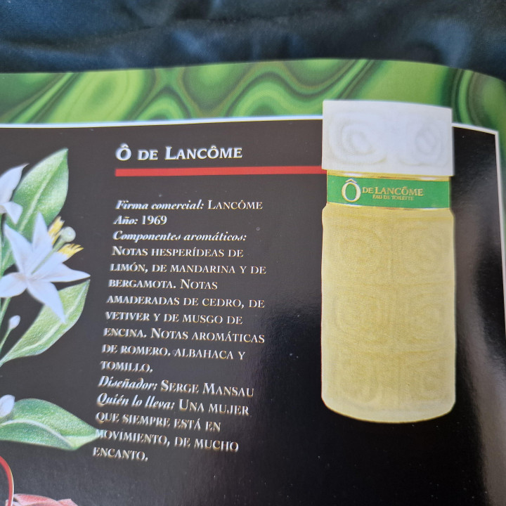 Perfume Vintage Ô de Lancôme EDT 228 ml (Anos 80)