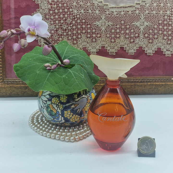 イヴロシェ カンタータ ヴィンテージ EDT 75/100ml