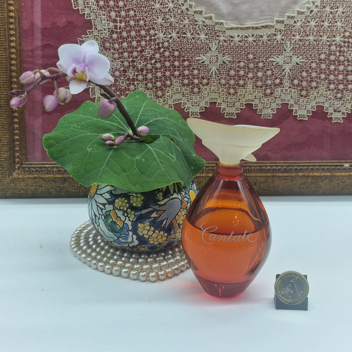 イヴロシェ カンタータ ヴィンテージ EDT 75/100ml