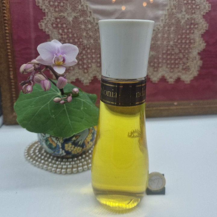 Perfume Vintage Água de Colônia - Perfumeria Gal Madrid Lavanda Inglesa, Frasco 221ml Coleção, Anos 90 Cheio Original
