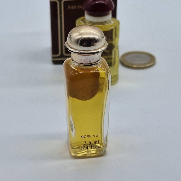 Vintage Miniature Perfume Set, Hermes Amazone 7ml and Caleche 7.5ml Collectible Mini Fragrances, 1980s French Perfumery Lot of 2