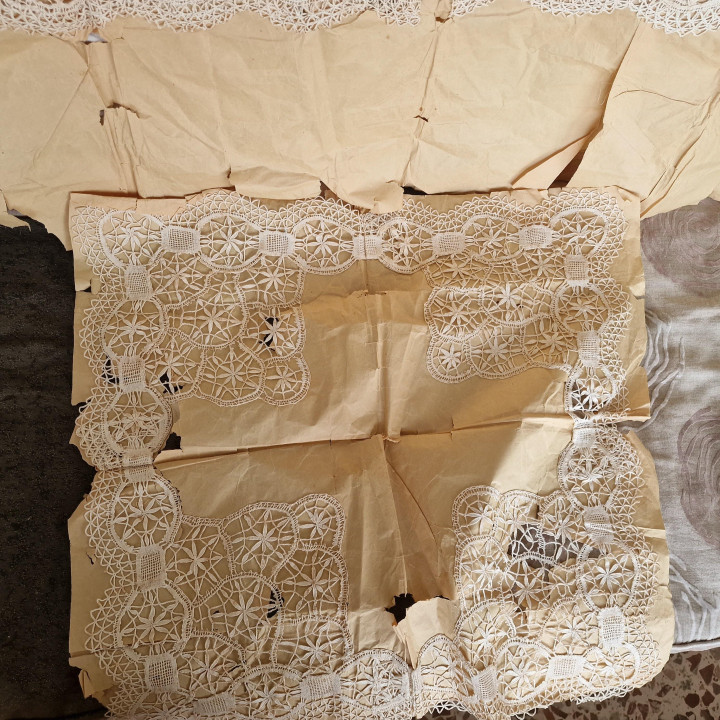 Conjunto excepcional de encaje de bolillos antiguo (1900-1909)