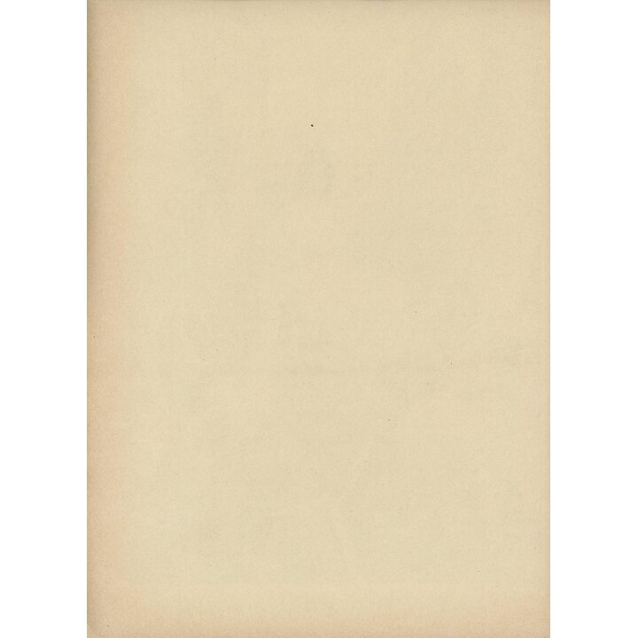 Antieke Spaanse Litho Feest van de Godin van de Rede Print 1880