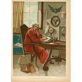 Antike Buffon Chromolithographie Spanischer Druck Naturgeschichte 1890
