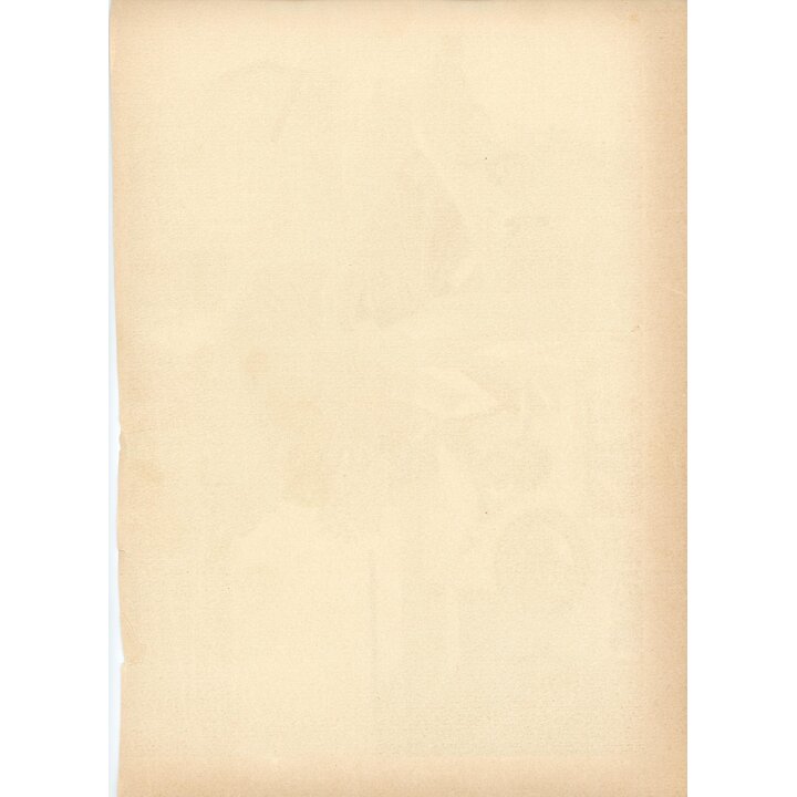 Antyczna Chromolitografia Buffon Hiszpanska Grafika Historia Naturalna