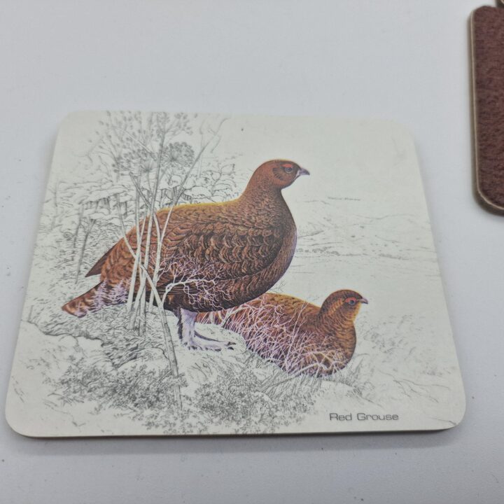 Podstawki Vintage i Maty Stołowe, Ilustracje Ptactwa Łownego Basil Ede, Zestaw 6 szt, Anglia, Lata 1970, Styl Wiejski