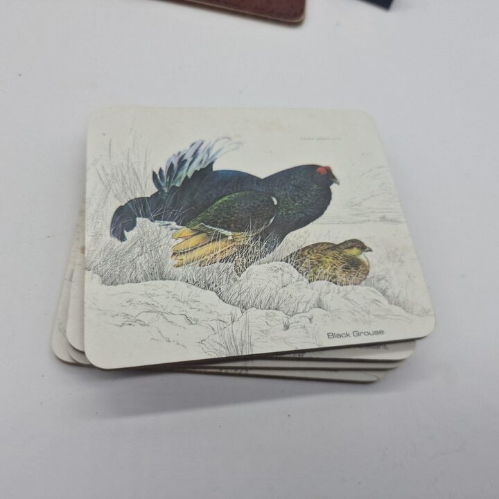 Vintage Onderzetters en Tafelmatten, Basil Ede Jachtvogels Illustraties, Set van 6, Engeland, Jaren 1970, Countryside Collectie