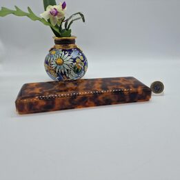 Estuche escolar, plumier de celuloide efecto carey, caja de escritorio vintage, imitación caparazón de tortuga, década de 1950