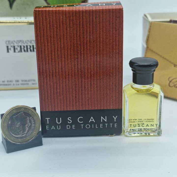 Lote de 8 Miniaturas de Perfume Vintage, Jean Patou Pour Homme, Hermes, Loewe, Gianfranco Ferre, Aramis Tuscany, Montana, Caixa…