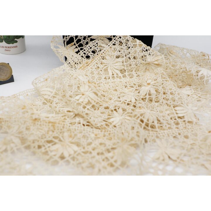Antique Bobbin Lace Trim, Handmade Spanish Camariñas Lace, Floral Motif, Off-White Cotton, 10 cm x 350 cm 3.5 m, Vintage Haberd…