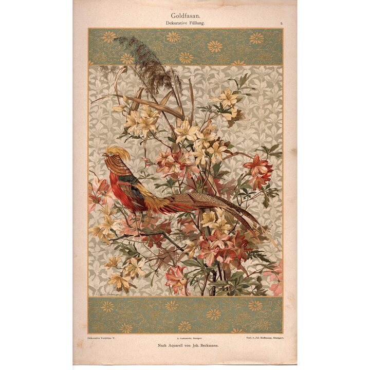 1894 Goldfasan Antike Chromolithographie Johannes Beckmann Jugendstil Dekorativer Druck