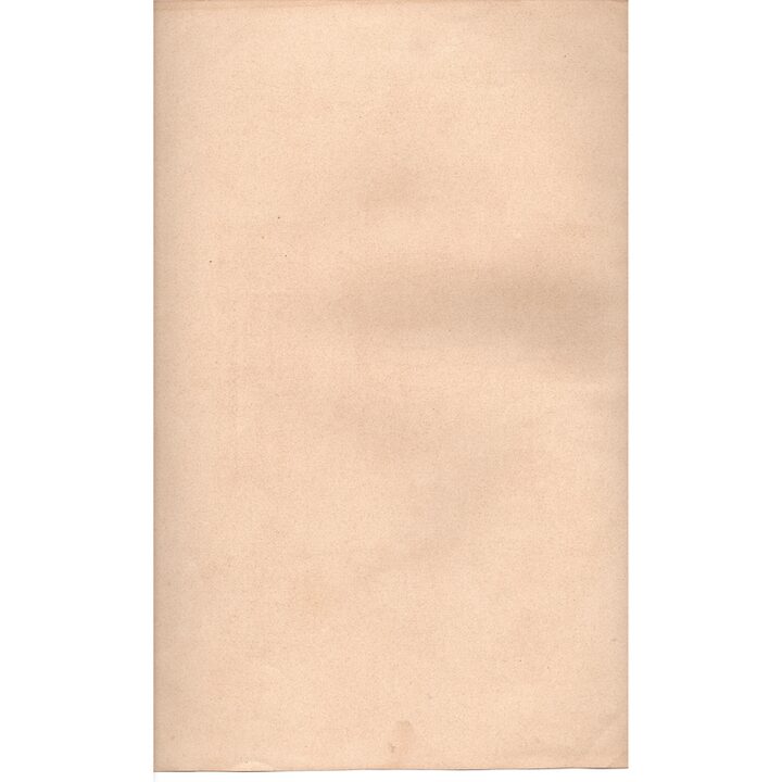 1893 Carlos Grethe Cromolitografia Marina - Tavola 42 da Dekorative Vorbilder - Antica Stampa Nautica Tedesca