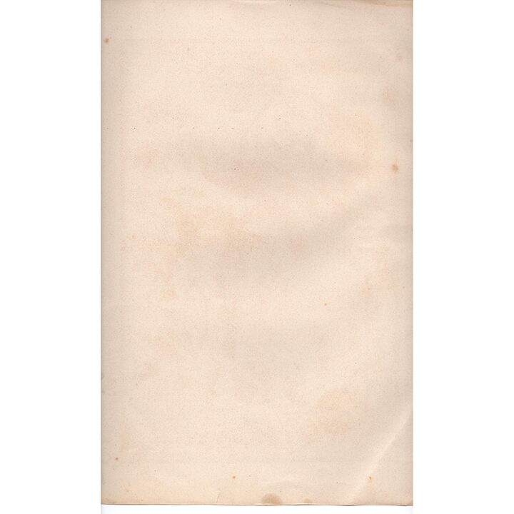 1894 Cromolitografia Uccello del Paradiso Joh Beckmann Dekorative Vorbilder Vol VI Julius Hoffmann Stuttgart Stampa Antica Art…