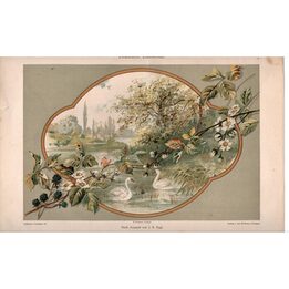 1892 Dekorative Landschaft Farblithografie von J B Engl - Antiker Schwan und Blumen Druck aus Dekorative Vorbilder