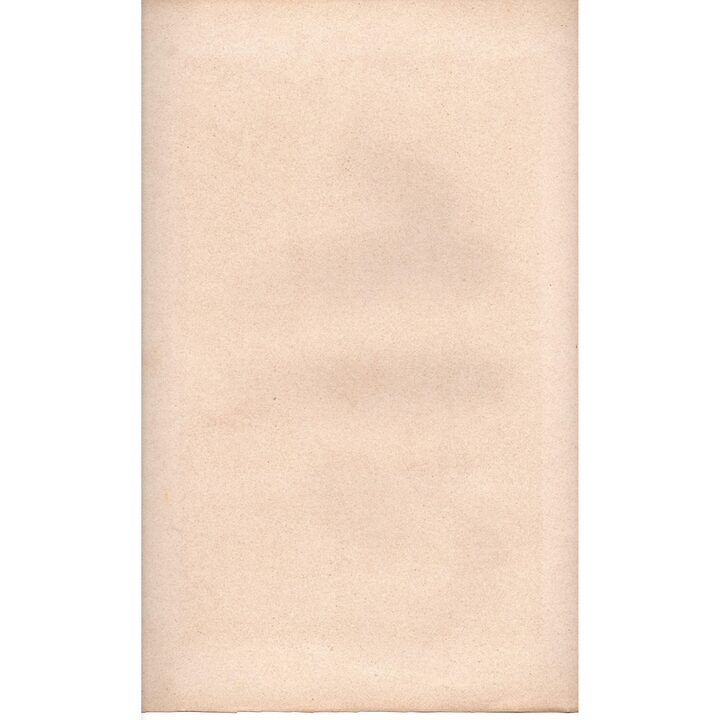 Gravura Botânica Antiga Wilder Wein 1890 Johann Heckmann Cromolitografia Vinha Virgem e Mariposa Julius Hoffmann Stuttgart