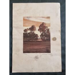 Originele Prent Shadow Trees Gelimiteerde Editie 373 van 500 Ets Sepia Landschap Mid Century Kunst voor Studeerkamer