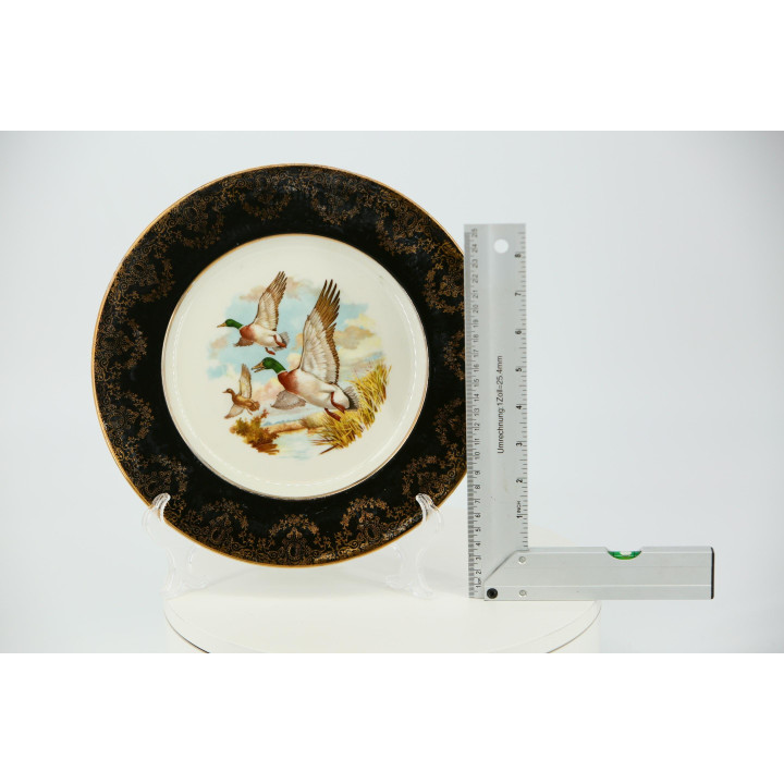 Plato Decorativo Vintage Cerámica Inglesa 1970 - Ánade Real