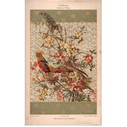 1894年 錦鶏 アンティーク クロモリトグラフ ヨハネス ベックマン アールヌーヴォー 装飾版画