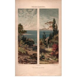 Cromolitografia Antica 1890 Albert Wirth Paesaggi Decorativi Julius Hoffmann Stoccarda
